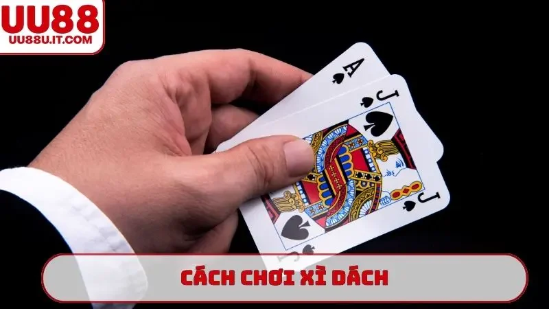 cách chơi xì dách